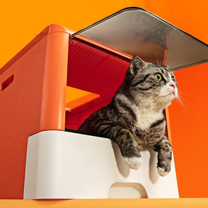 Enclosed Cat Toilet Send Shovel Large Space Cat Potty Double Door Splash Proof Pet Cat Litter Box Household Pet Toilet