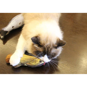 Pet Soft Plush 3D Fish Shape Cat Toy Interactive Gifts Fish Catnip Toys Stuffed Pillow Doll Simulation Fish Playing Toy For Pet