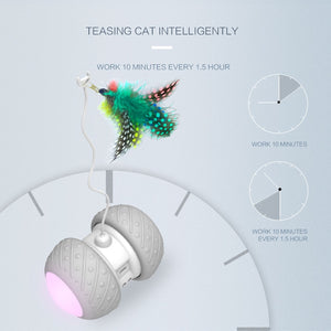 Smart Interactive Cat Toy Lrregular Rotating Mode Toy Cats Funny Pet Game Electronic Cat Toy LED Light Feather Toys Kitty Balls